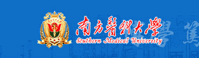 副高及以上职称