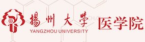 广东省开平市中心金博宝app官网正规